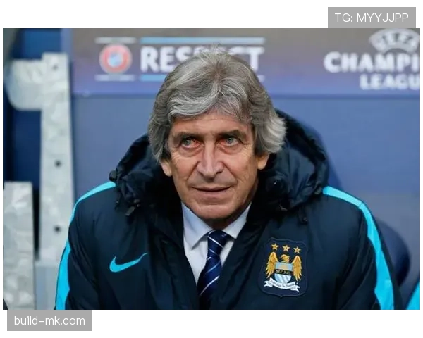 英超佩莱格里尼