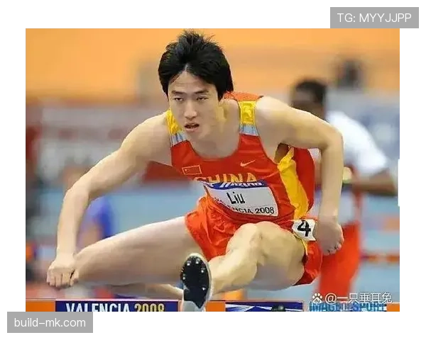 刘翔当年退赛那会儿，谁懂他脚上钉子拔出来有多疼